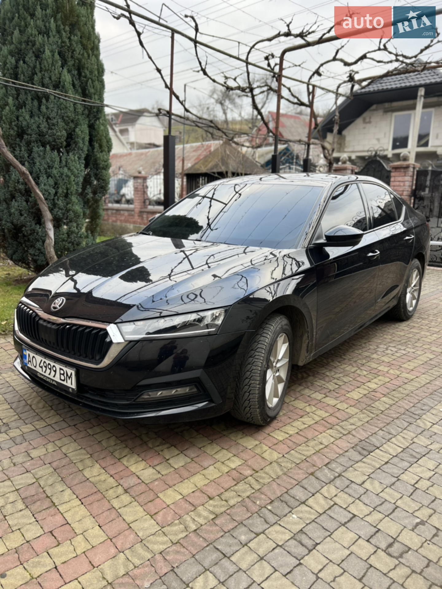 2020 Skoda Octavia - мініатюра 3