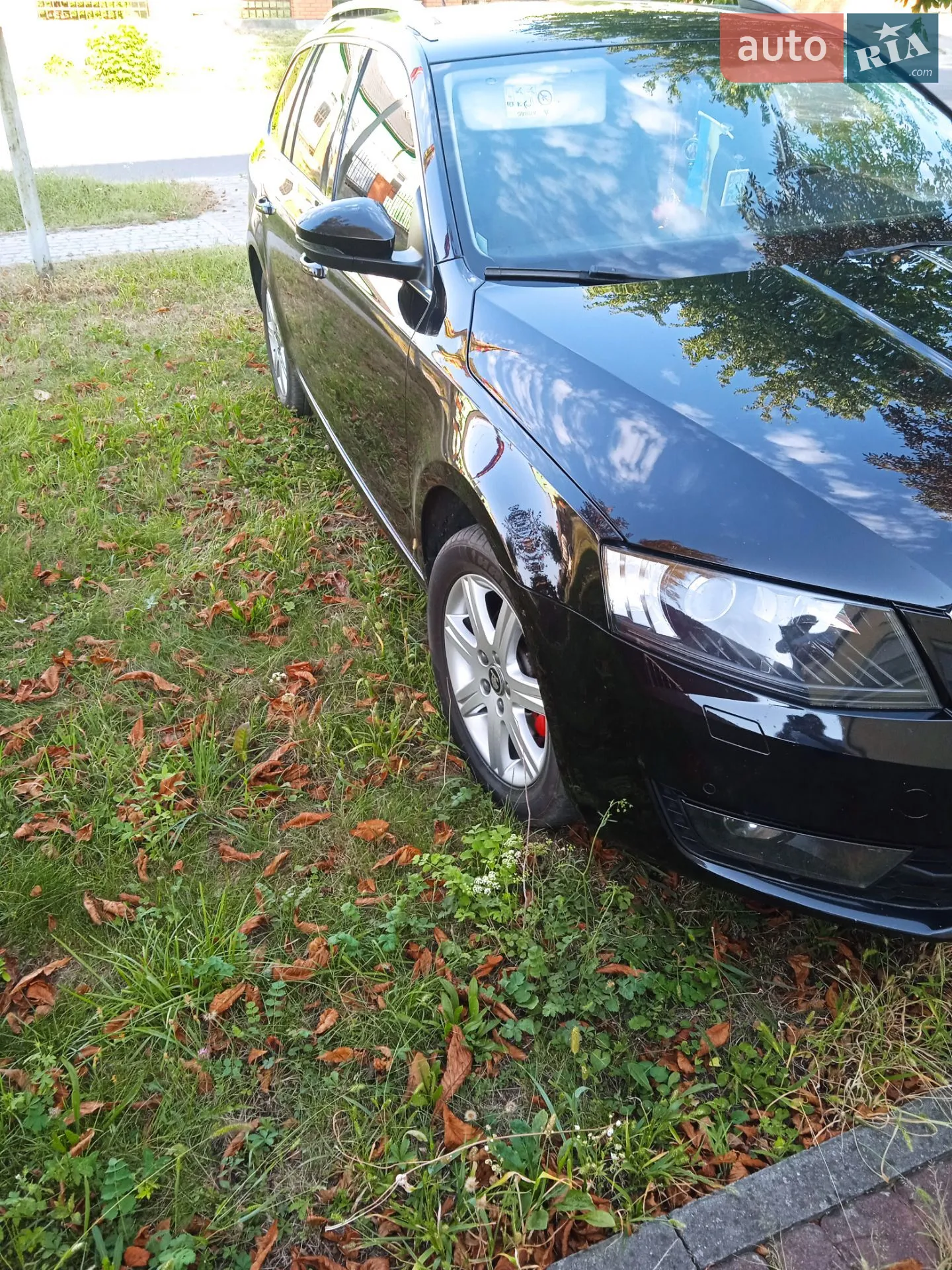 2015 Skoda Octavia - мініатюра 6
