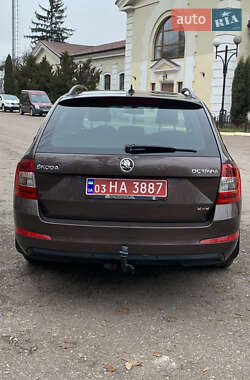 Універсал Skoda Octavia 2014 в Радивиліві