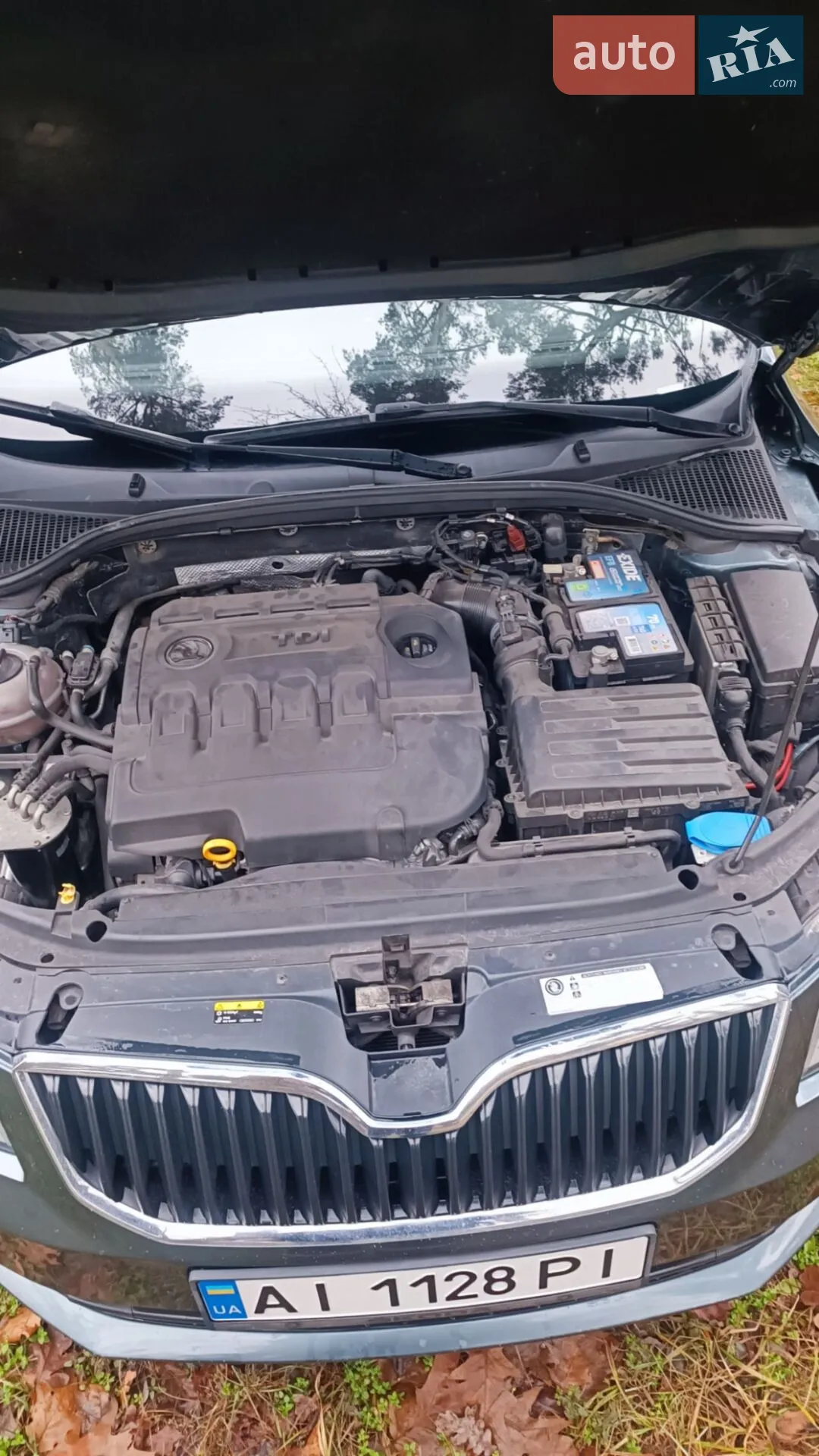 2016 Skoda Octavia - мініатюра 16