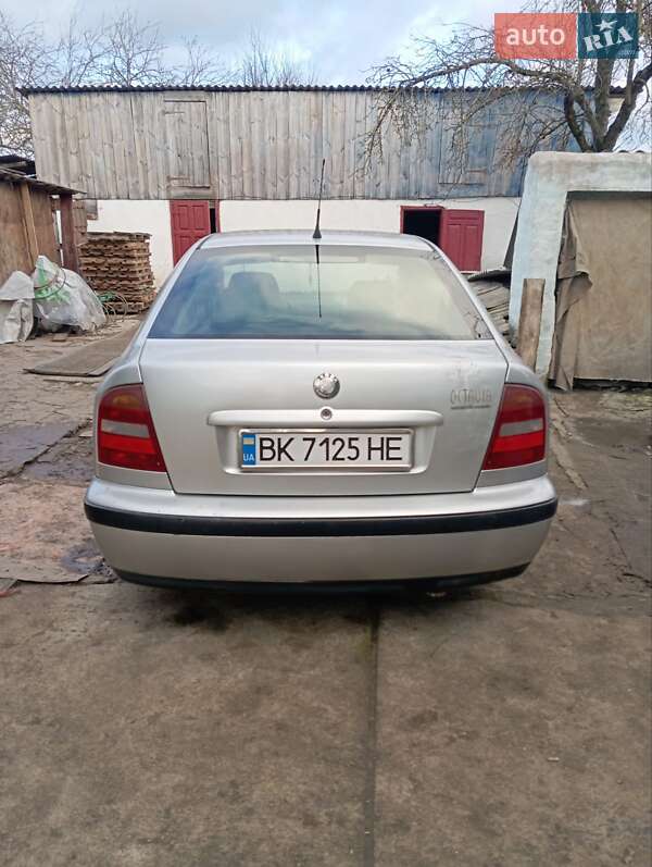 Лифтбек Skoda Octavia 2000 в Ровно