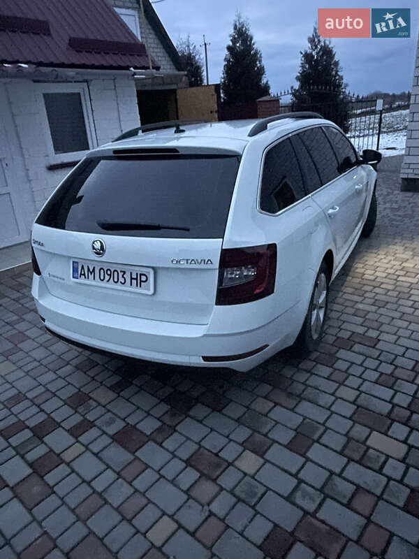 Лифтбек Skoda Octavia 2018 в Звягеле