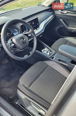 Лифтбек Skoda Octavia 2023 в 