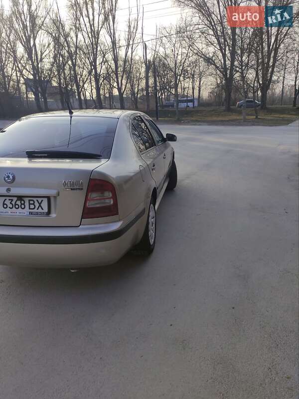 Лифтбек Skoda Octavia 2005 в Черновцах