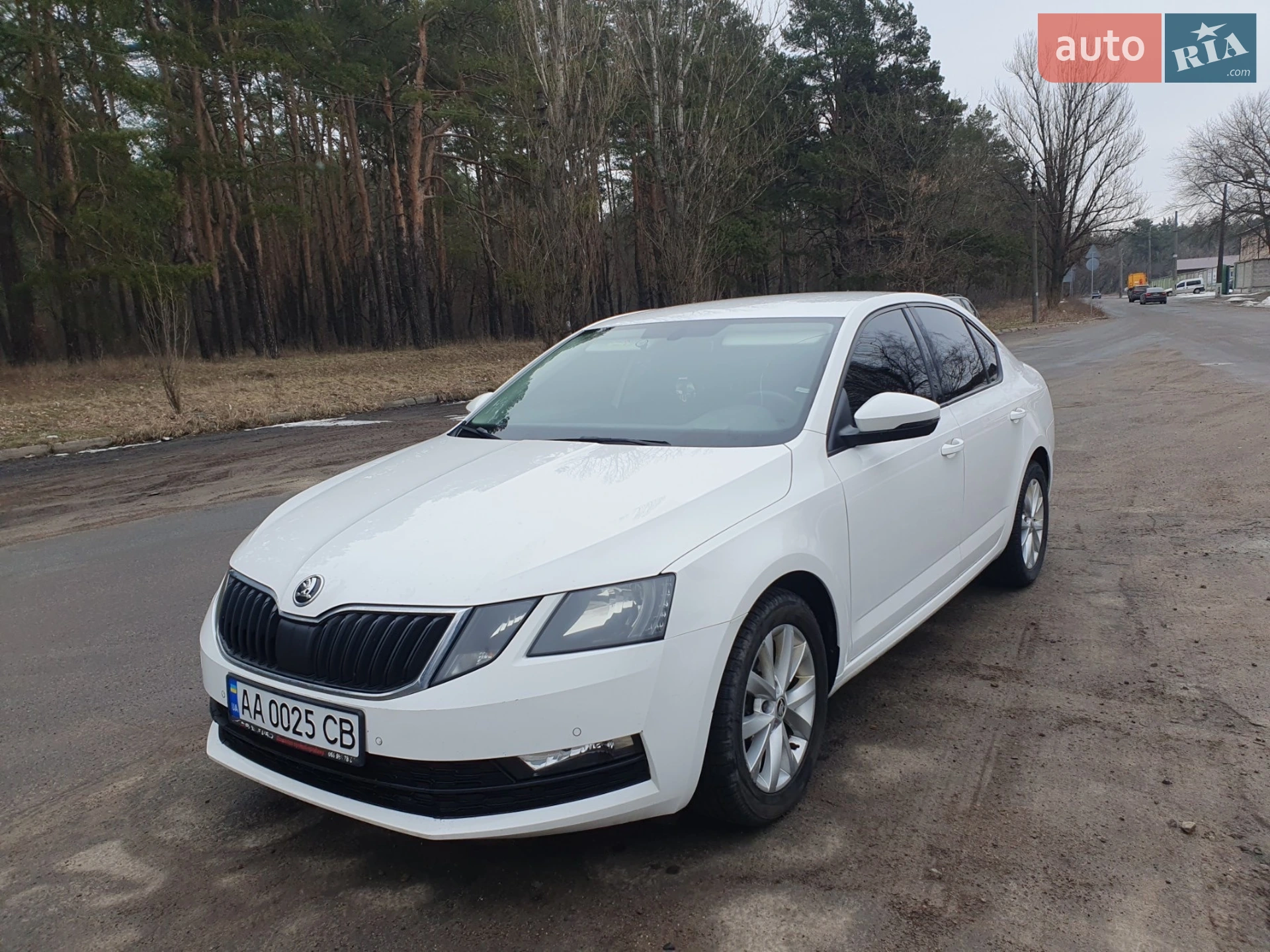 2017 Skoda Octavia - мініатюра 2