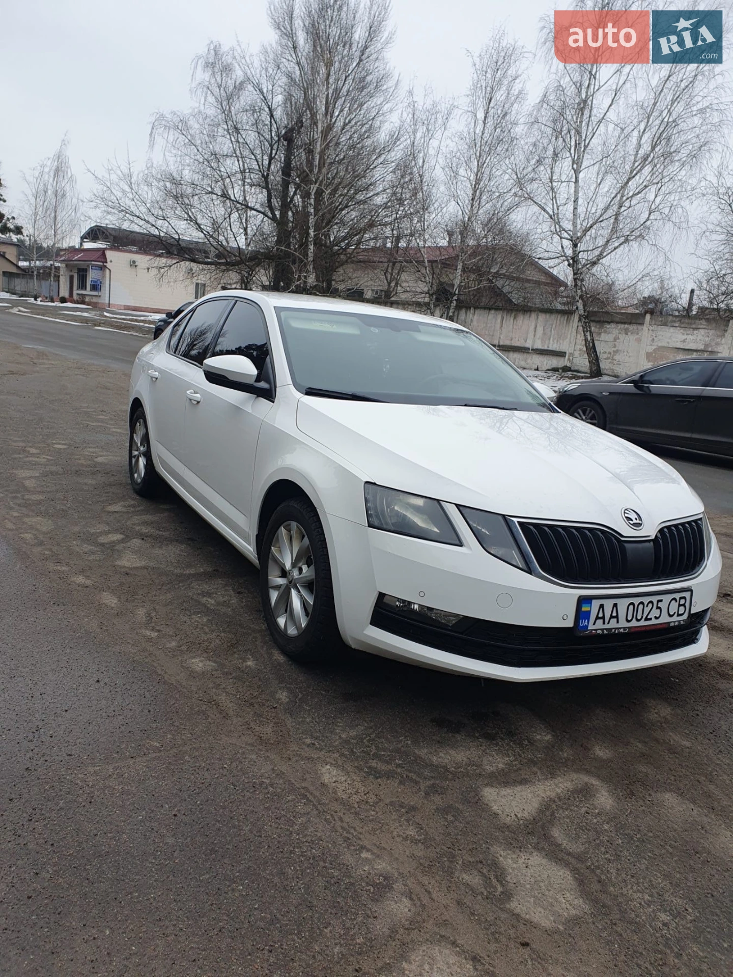 2017 Skoda Octavia - мініатюра 3