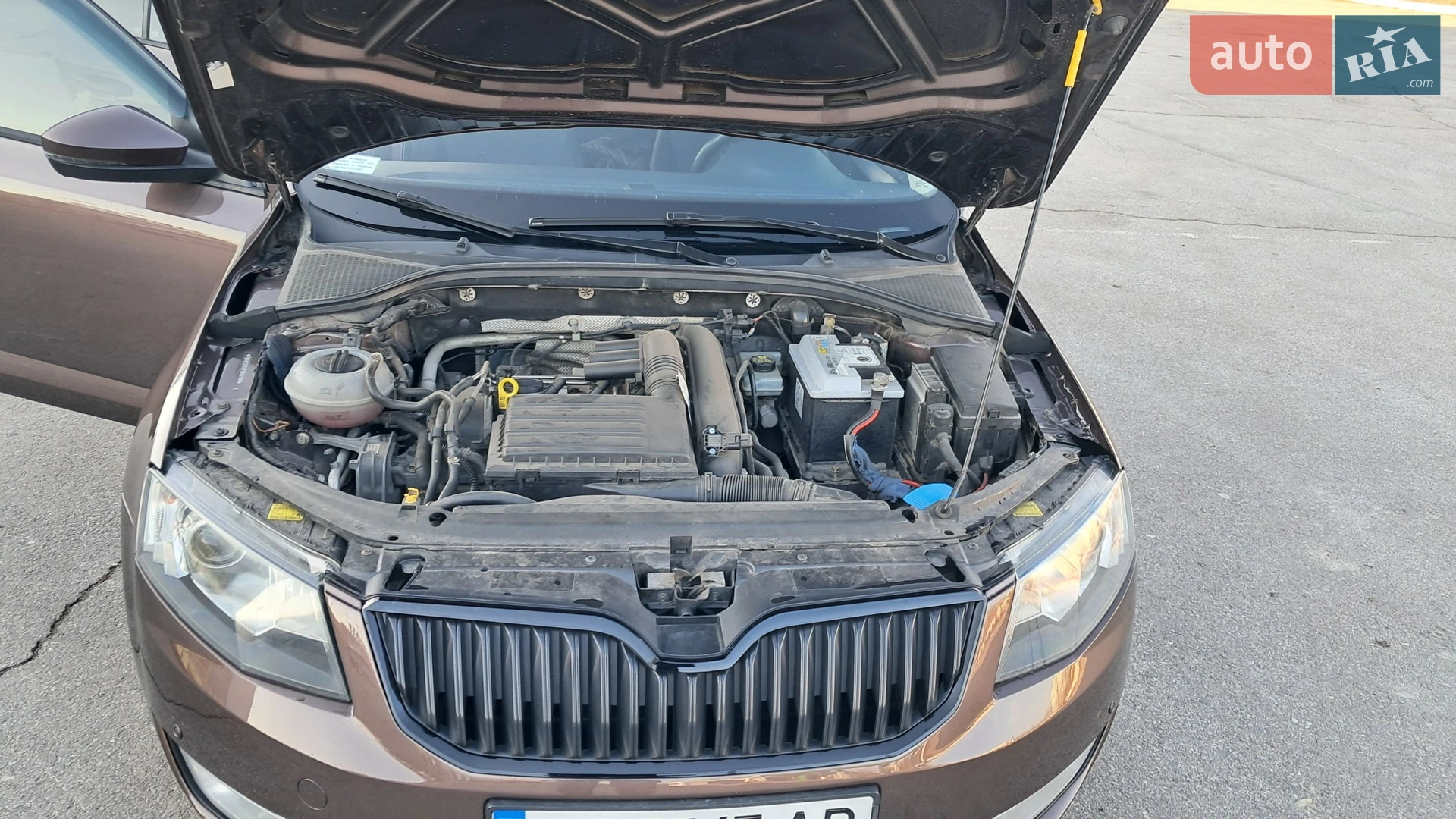 2015 Skoda Octavia - мініатюра 20