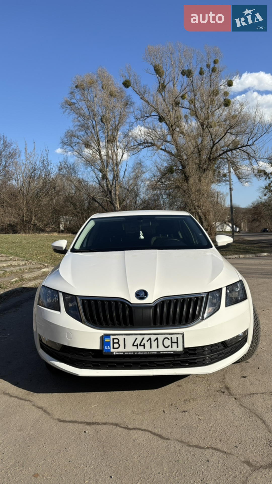 2017 Skoda Octavia - мініатюра 3