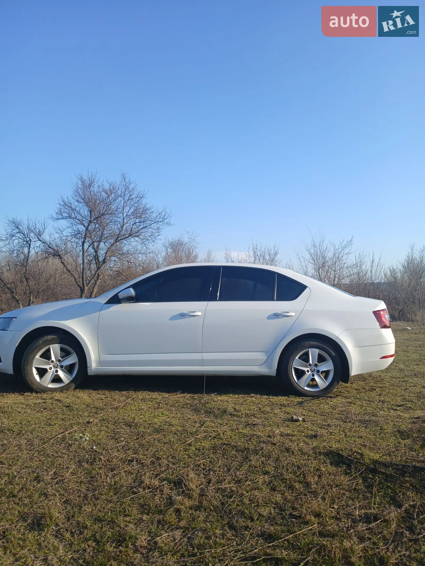 2017 Skoda Octavia - мініатюра 7