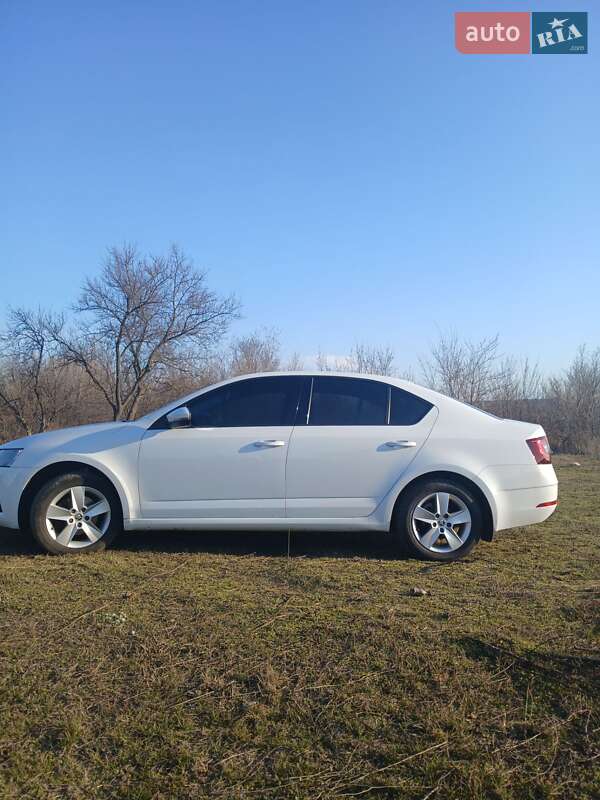 Лифтбек Skoda Octavia 2017 в Кривом Роге фото 7 Лифтбек Skoda Octavia 2017 в Кривом Роге