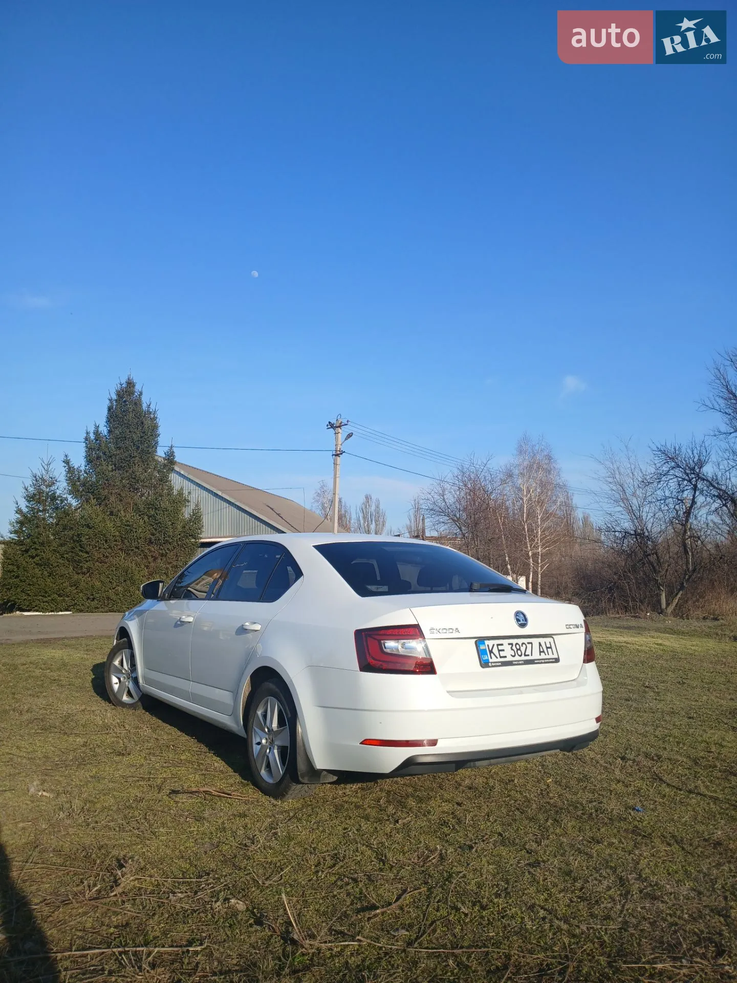 2017 Skoda Octavia - мініатюра 5