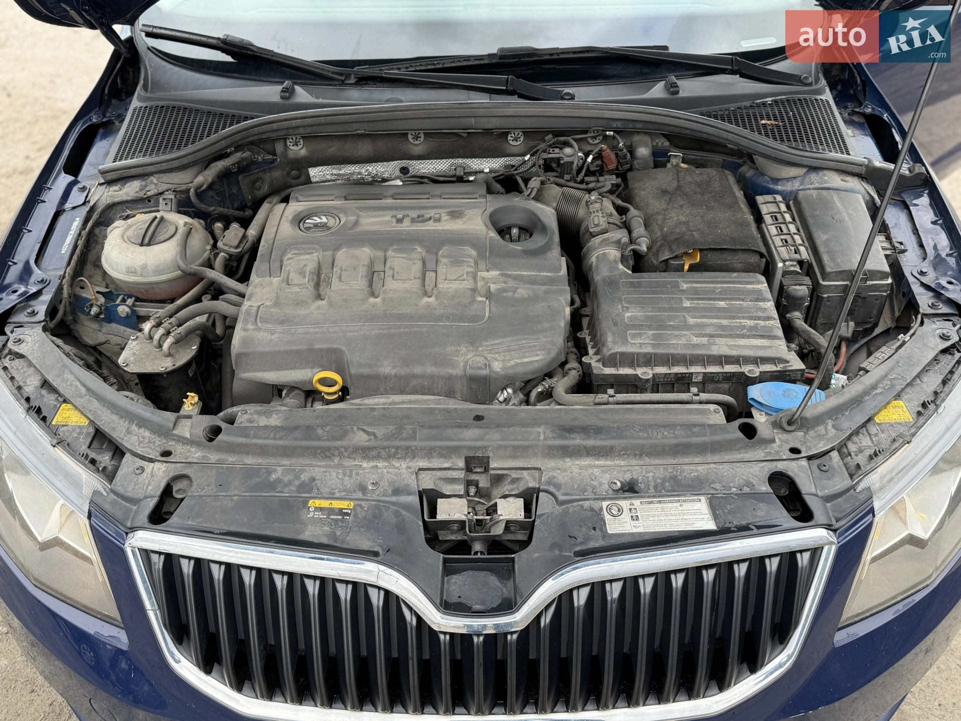 2016 Skoda Octavia - мініатюра 29