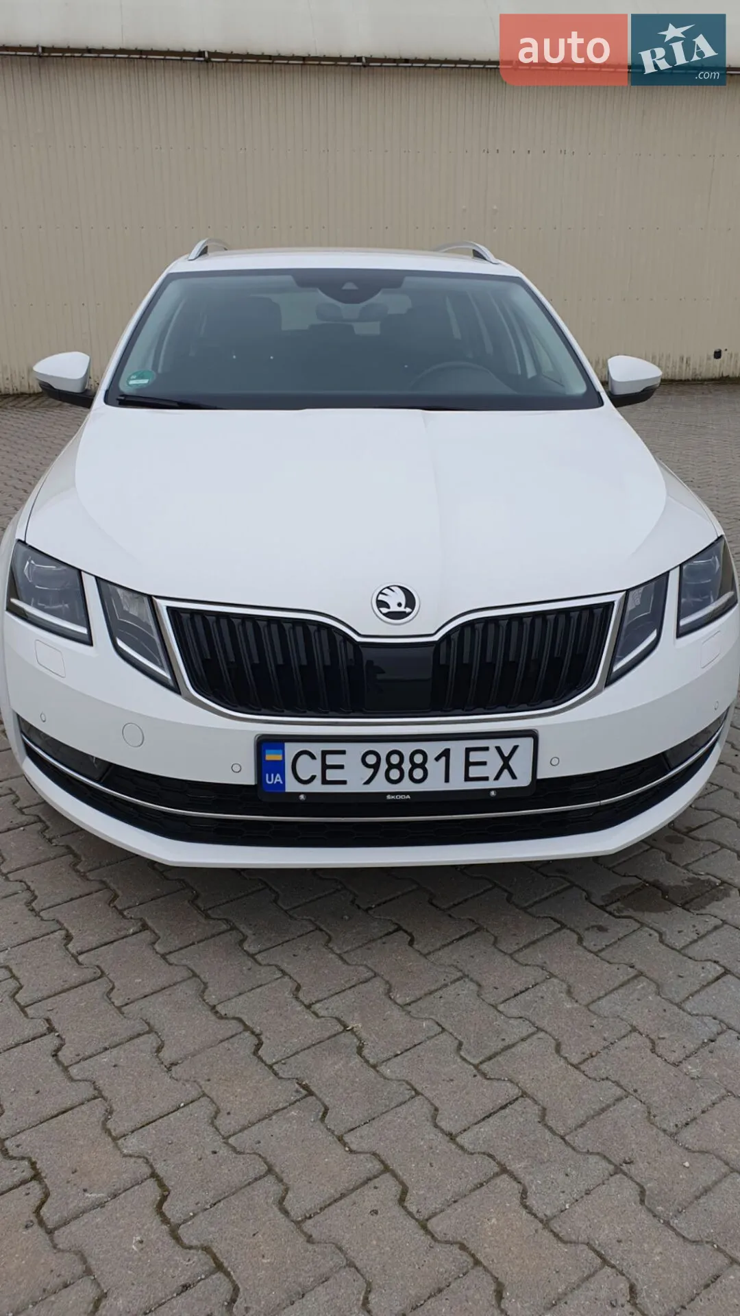 2019 Skoda Octavia - мініатюра 3