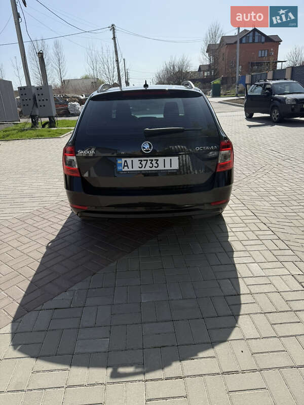 Універсал Skoda Octavia 2017 в Хмельницькому