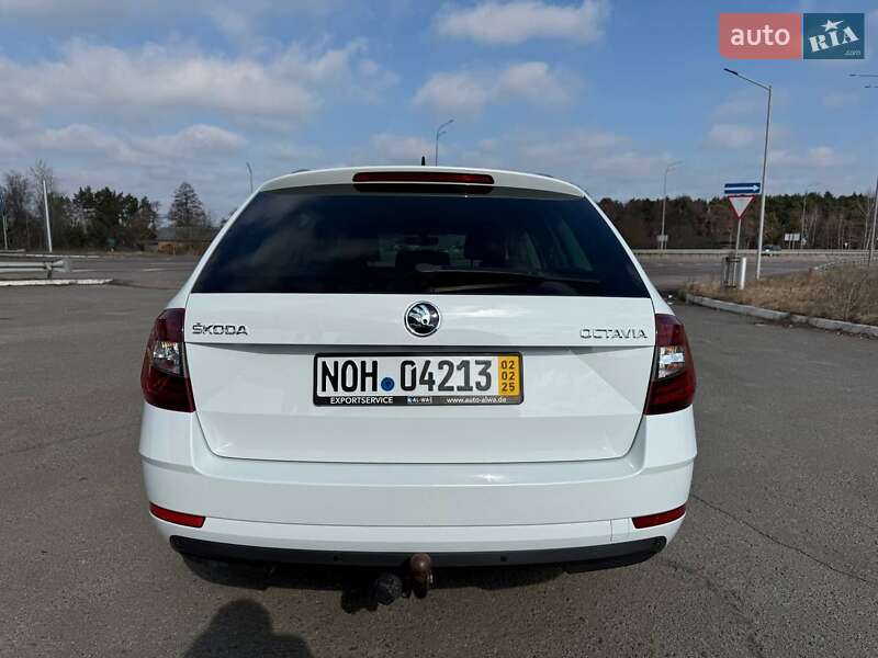 Универсал Skoda Octavia 2019 в Радивилове
