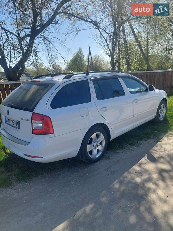 Універсал Skoda Octavia 2009 в Звягелі