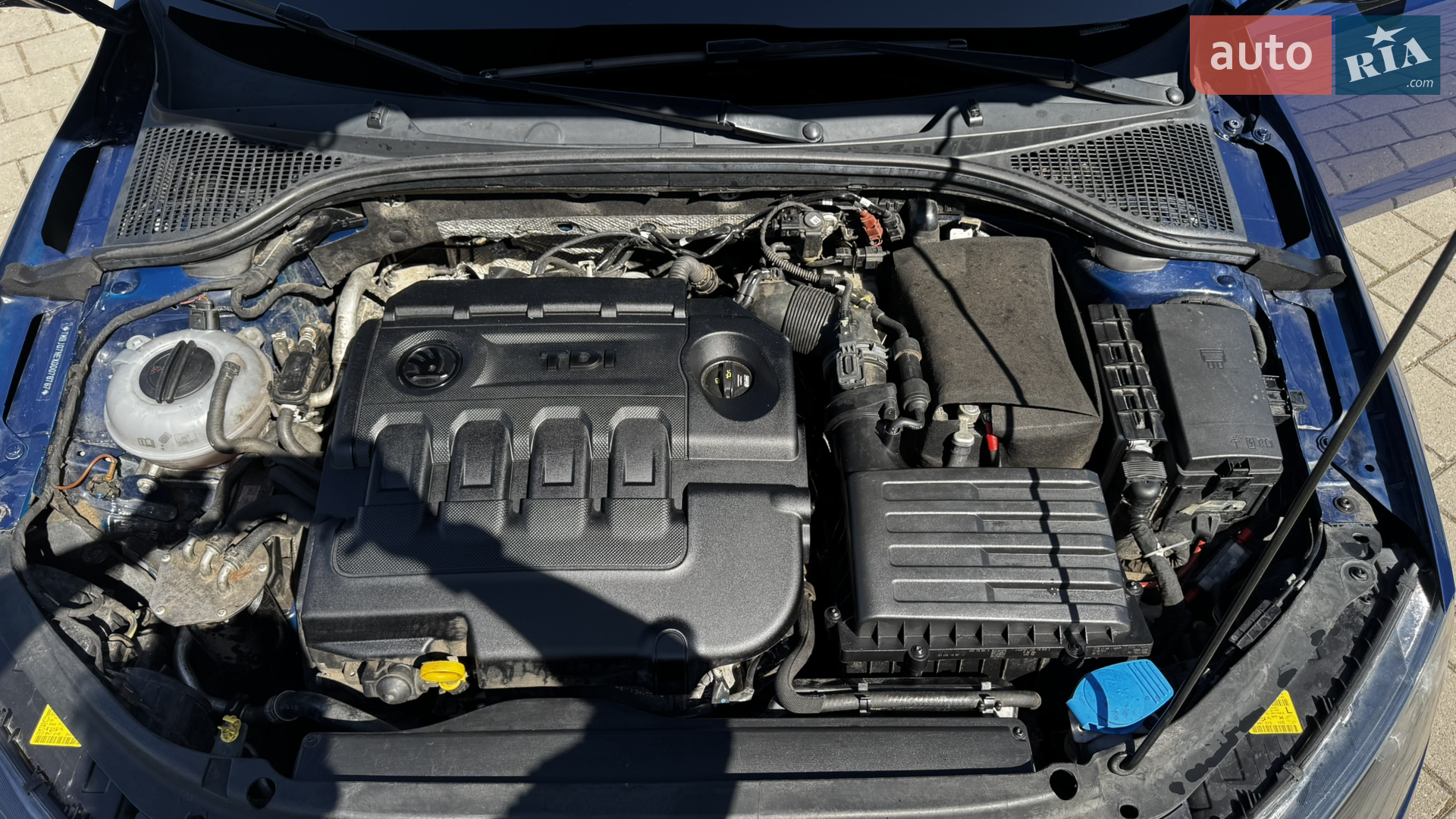 2015 Skoda Octavia - мініатюра 10