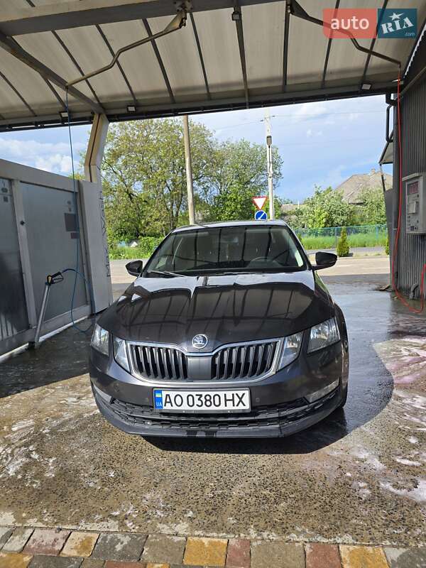Лифтбек Skoda Octavia 2019 в 