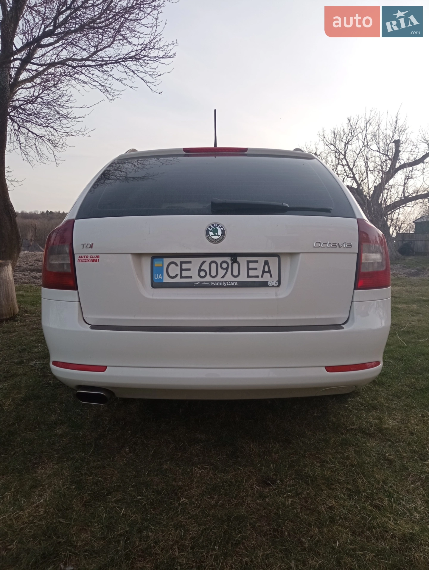 2011 Skoda Octavia - мініатюра 4