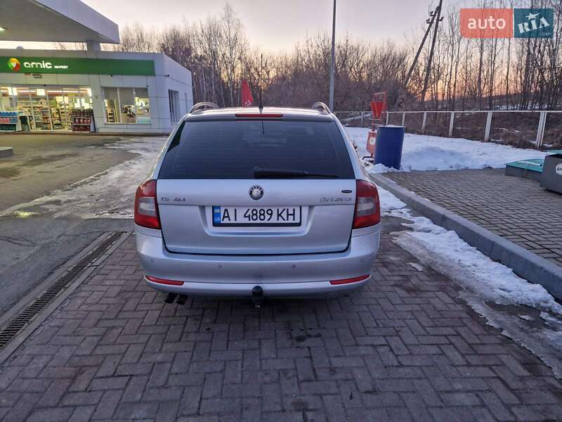 Універсал Skoda Octavia 2010 в Димері