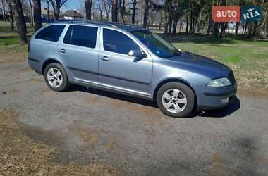 Универсал Skoda Octavia 2006 в Гребенке