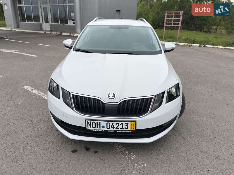 Универсал Skoda Octavia 2019 в Радивилове
