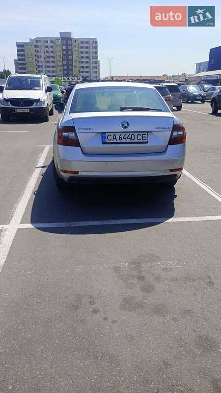 Лифтбек Skoda Octavia 2017 в Черкассах фото 4 Лифтбек Skoda Octavia 2017 в Черкассах