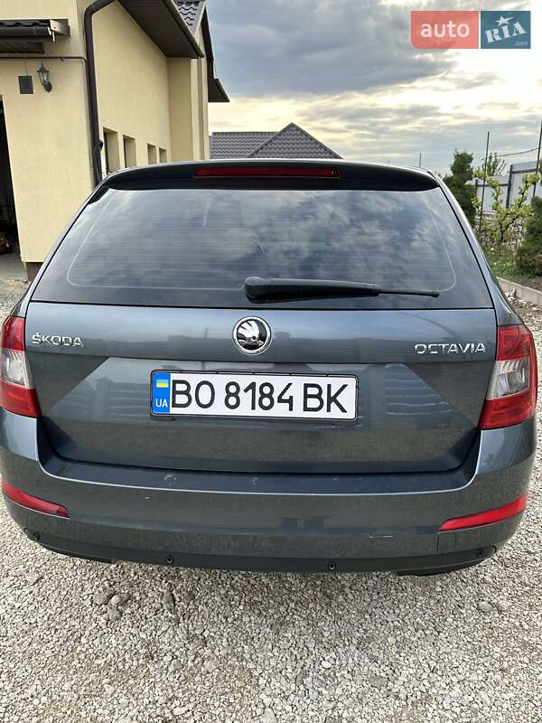 Універсал Skoda Octavia 2016 в Тернополі