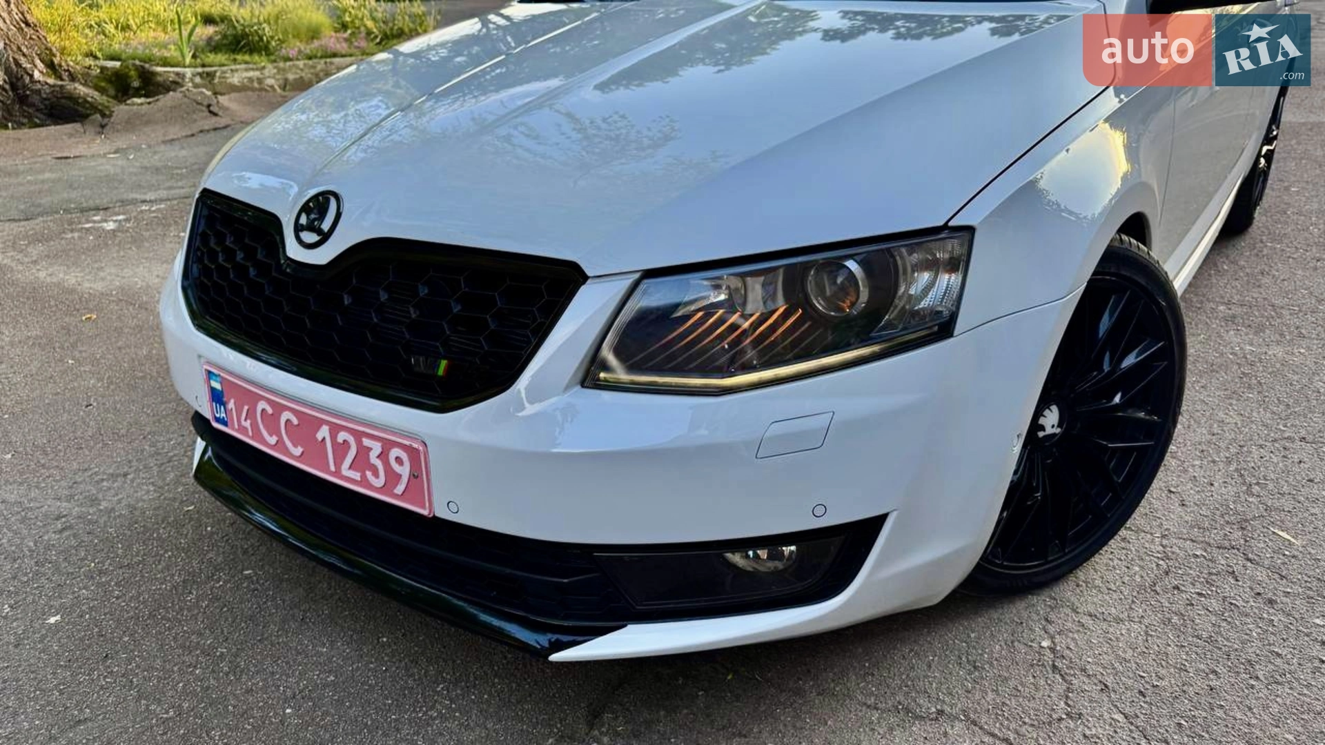 2015 Skoda Octavia - мініатюра 5