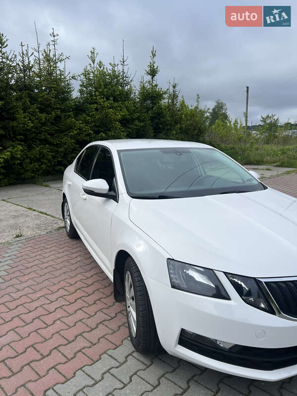 Лифтбек Skoda Octavia 2018 в Шепетовке
