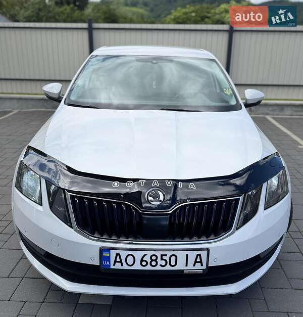 Ліфтбек Skoda Octavia 2017 в Сваляві