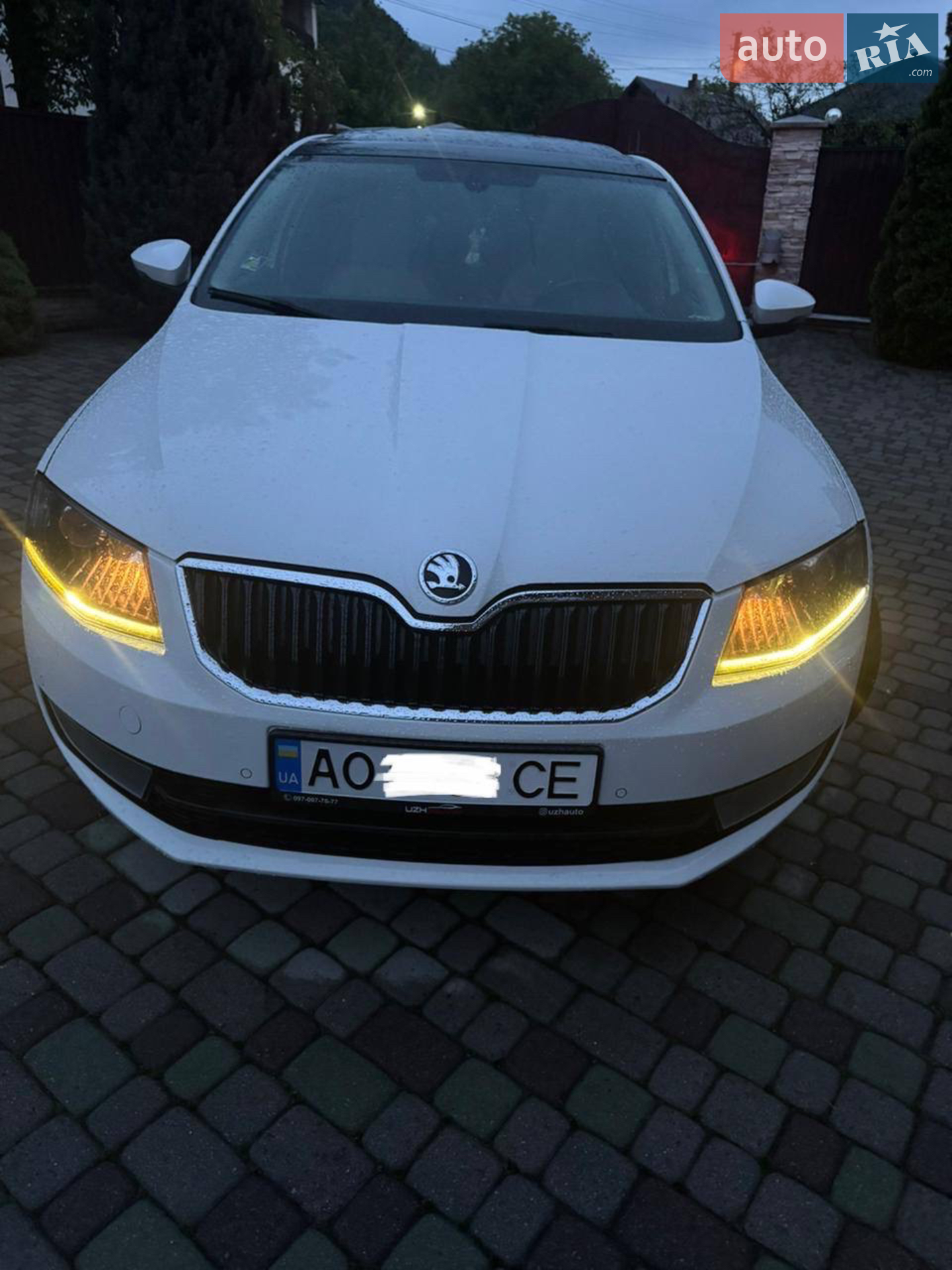 2013 Skoda Octavia - мініатюра 14