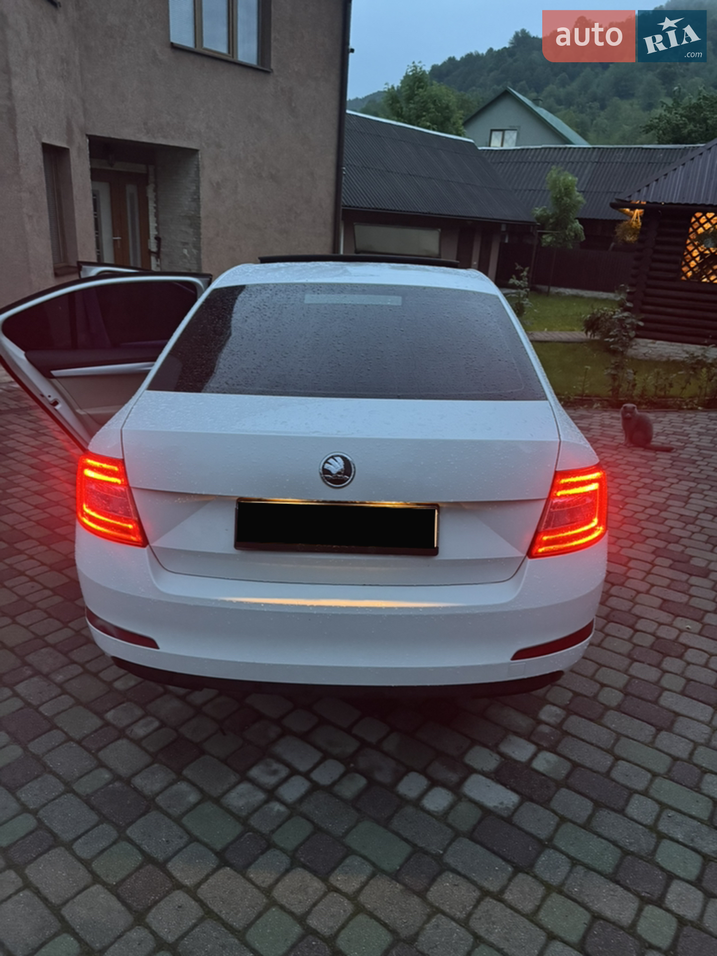 2013 Skoda Octavia - мініатюра 23