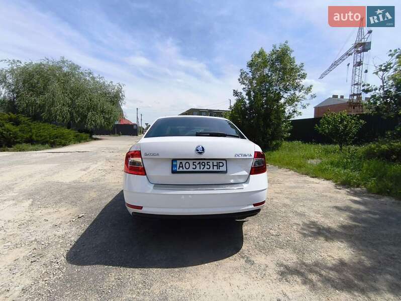Лифтбек Skoda Octavia 2017 в Ужгороде