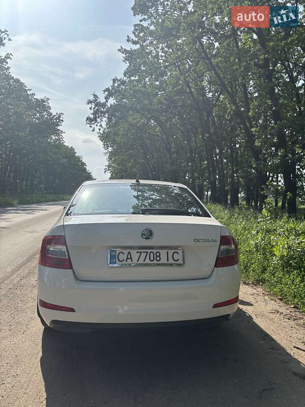 Лифтбек Skoda Octavia 2016 в Умани