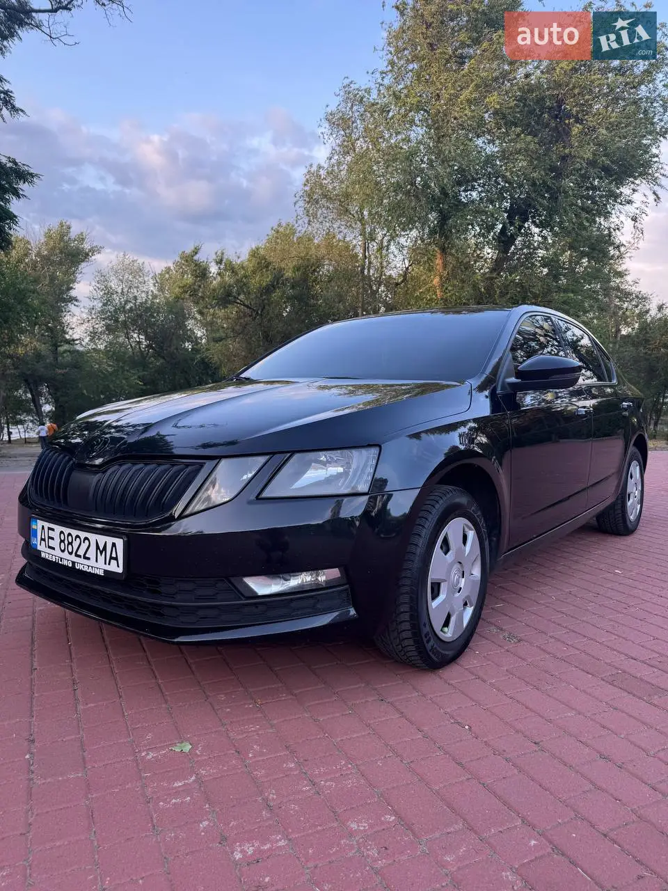 2019 Skoda Octavia - мініатюра 35