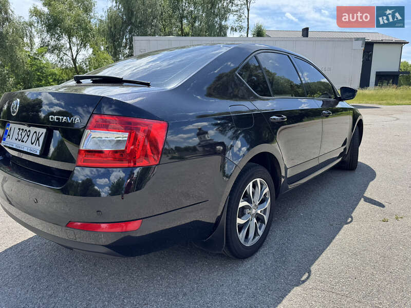 Лифтбек Skoda Octavia 2014 в Борисполе