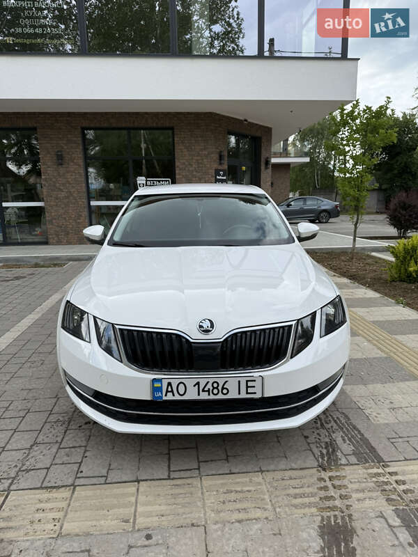 Лифтбек Skoda Octavia 2019 в 