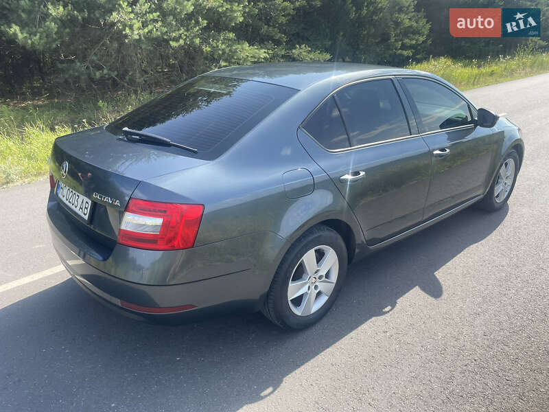 Ліфтбек Skoda Octavia 2017 в Львові фото 6 Ліфтбек Skoda Octavia 2017 в Львові