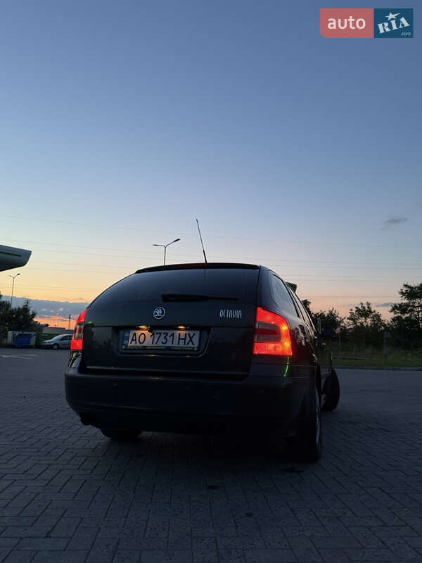 Универсал Skoda Octavia 2008 в Мукачево