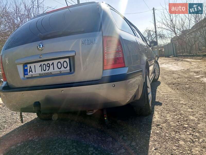 Універсал Skoda Octavia 2006 в Сквирі