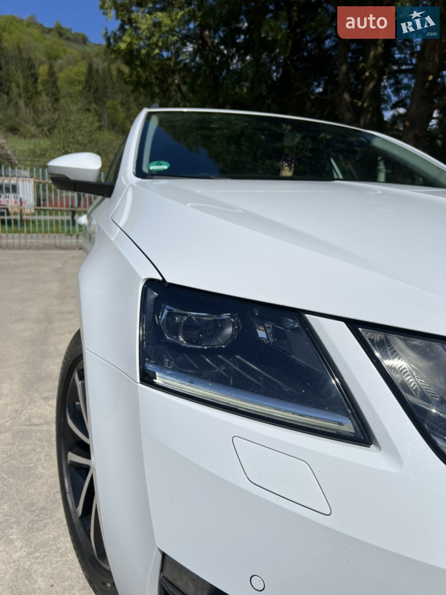 2020 Skoda Octavia - фото 1