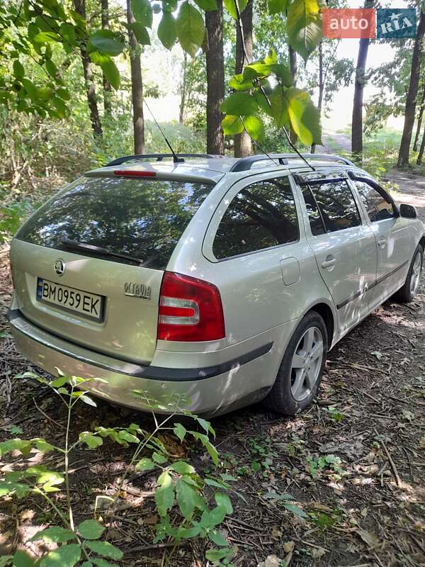 Универсал Skoda Octavia 2005 в Сумах