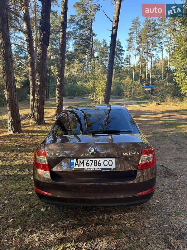Ліфтбек Skoda Octavia 2013 в Житомирі фото 6 Ліфтбек Skoda Octavia 2013 в Житомирі