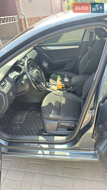 Лифтбек Skoda Octavia 2017 в Марганце фото 5 Лифтбек Skoda Octavia 2017 в Марганце