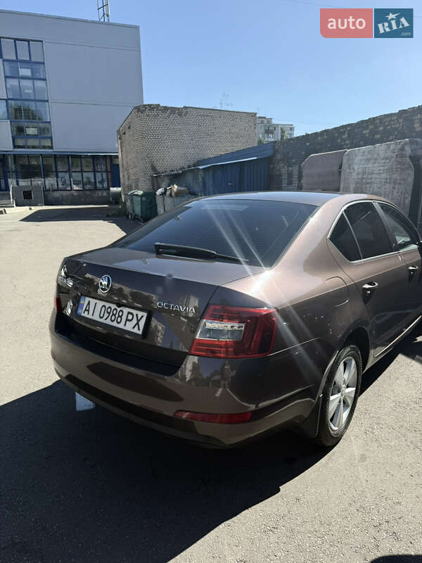 Лифтбек Skoda Octavia 2013 в Киеве