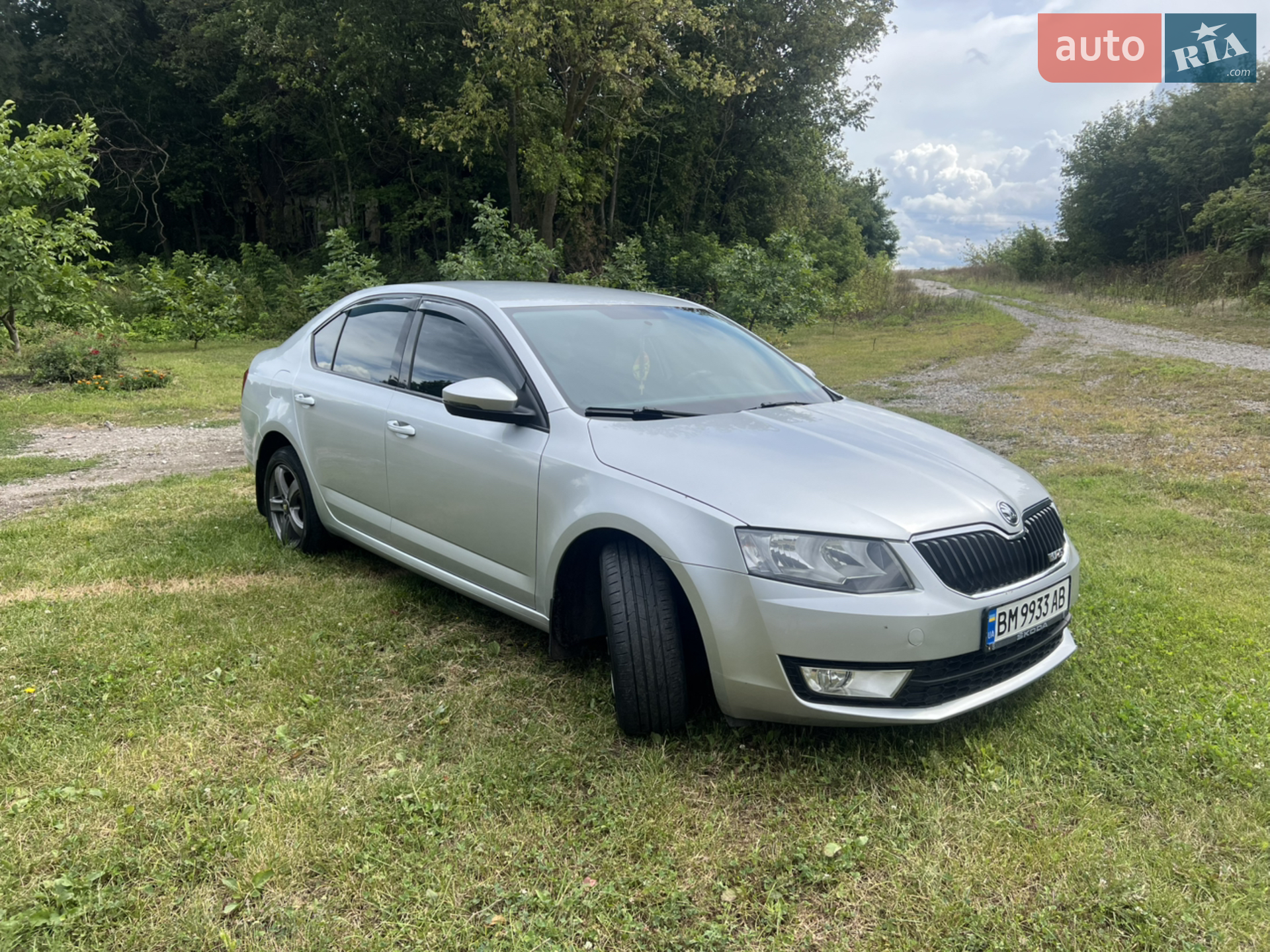 2016 Skoda Octavia - мініатюра 3