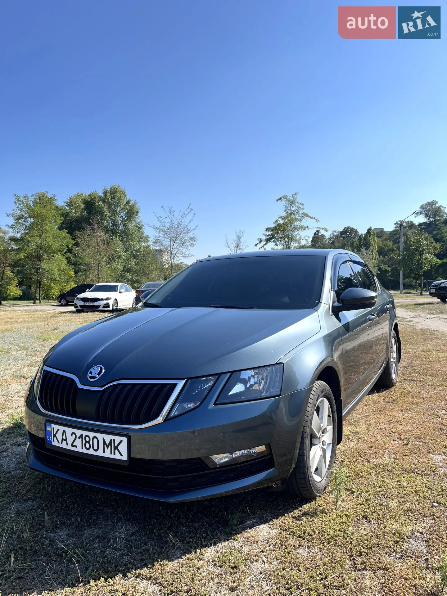 2019 Skoda Octavia - фото 1