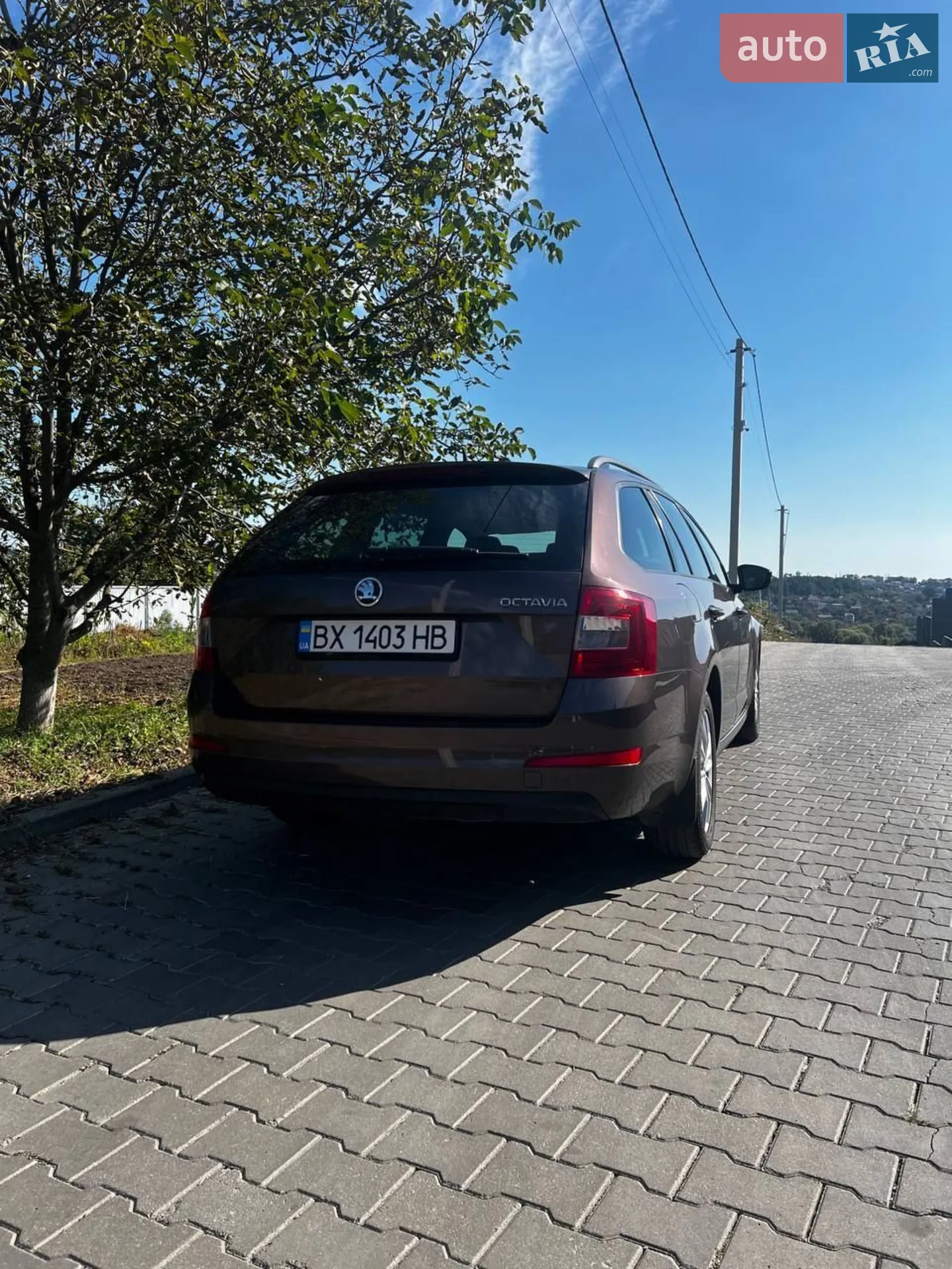 2015 Skoda Octavia - мініатюра 8