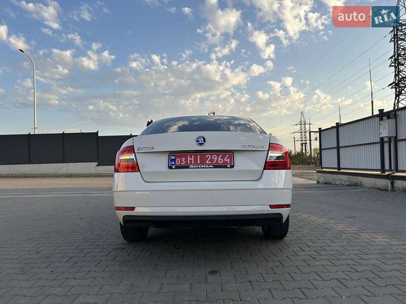 Лифтбек Skoda Octavia 2019 в Луцке